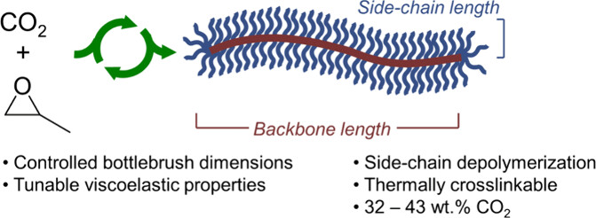 carbon dioxide polycarbonate bottlebrush polymers