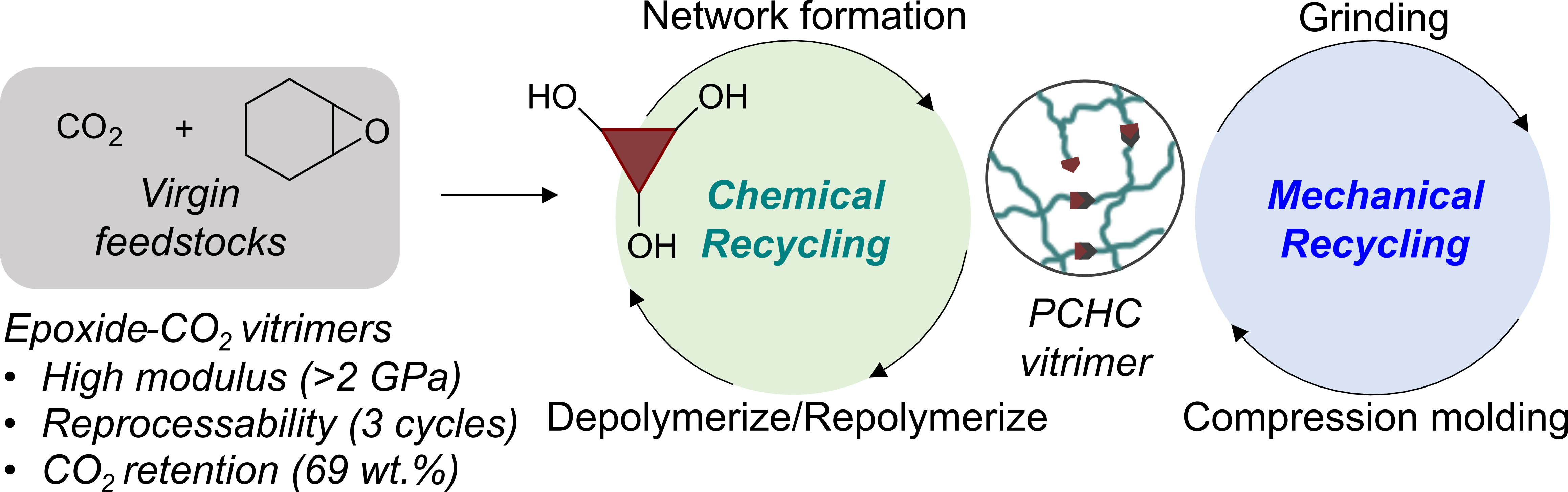 Chemically and Mechanically Recyclable Vitrimers from Carbon Dioxide-Based Polycarbonates
